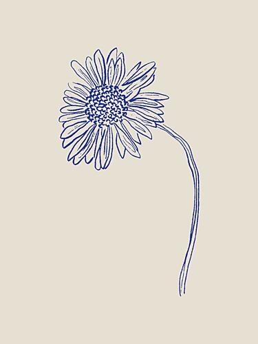 Blue Blossom Sketch Art Print