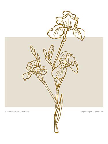 Floral Elegance Art Print