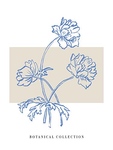 Floral Elegance Art Print