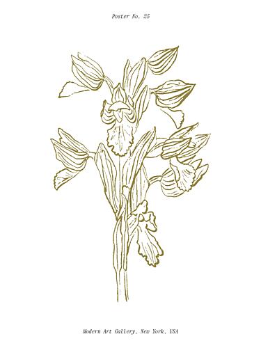 Orchid Harmony Art Print
