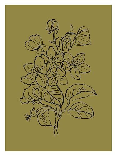 Botanical Elegance Art Print