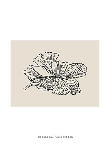 Gossamer Petals Art Print