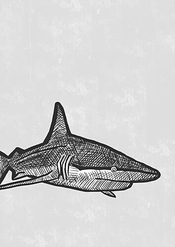 Shark Line Art Art Print by Bainai