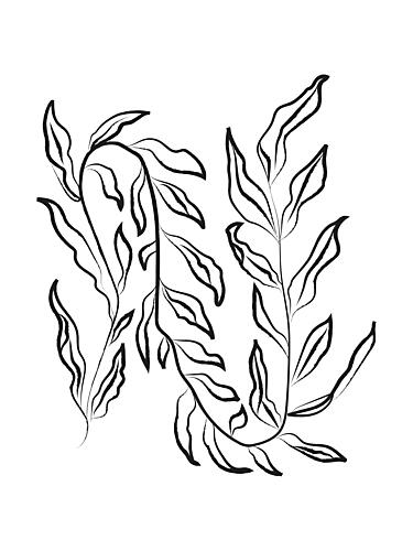 Leafy Elegance Art Print