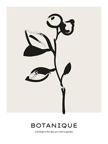 Botanical Whispers Art Print