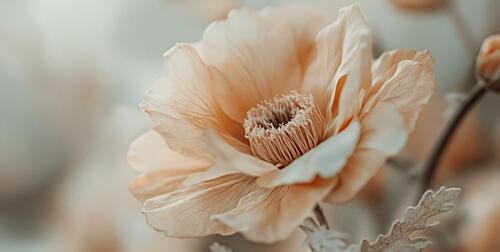 Gentle Blossom Art Print