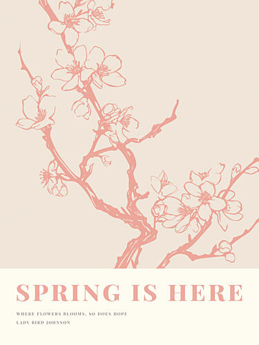 Blossom Elegance Art Print