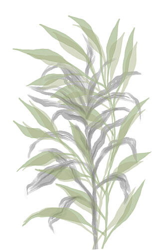 Soft Green Botanicals Art Print by Martina
