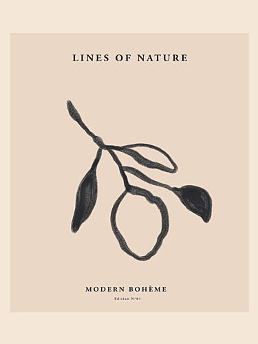 Elegant Nature Sketch Art Print