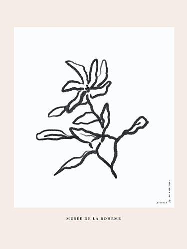Elegant Blooms Art Print