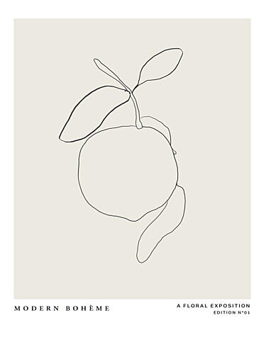 Lemon Linework Elegance Art Print