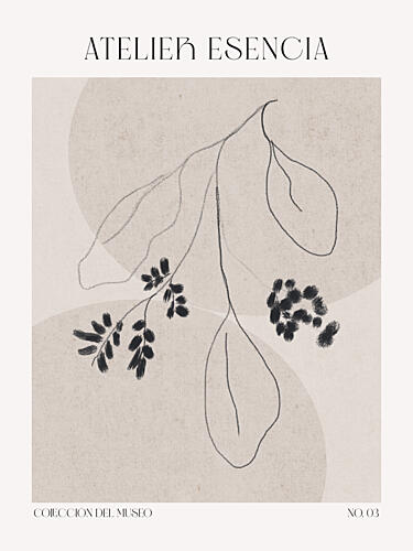 Elegance in Lines Art Print
