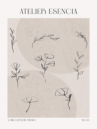 Delicate Blooms Art Print