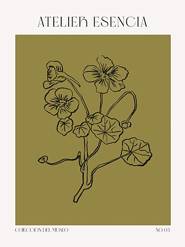 Botanical Elegance Art Print