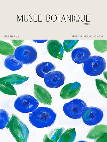Museebotaniqueno12 Art Print