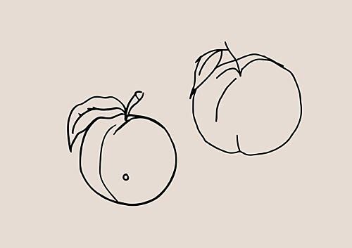Peachy Outlines Art Print