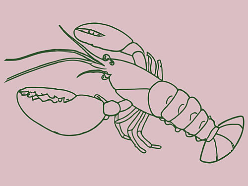 Elegant Lobster Sketch Art Print