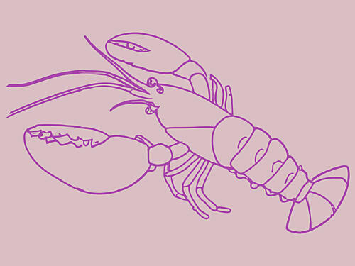Vibrant Lobster Lines Art Print