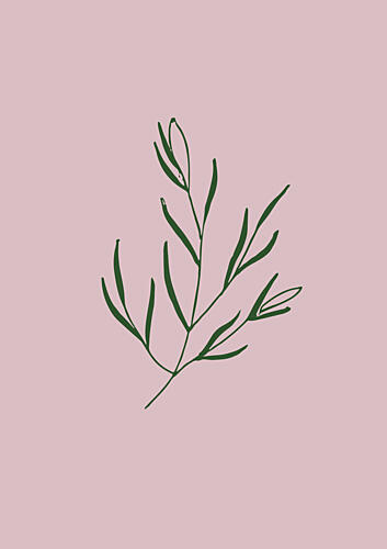 Minimal Leaf Elegance Art Print