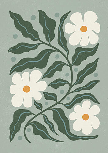 White Daisies and Green Leaves Art Print
