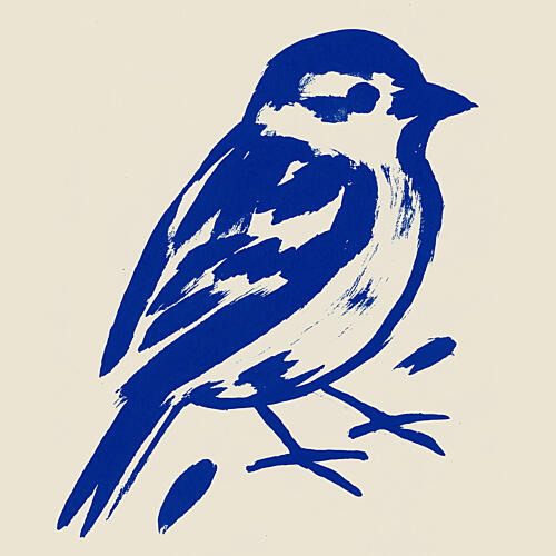 Bold Blue Sparrow Art Print