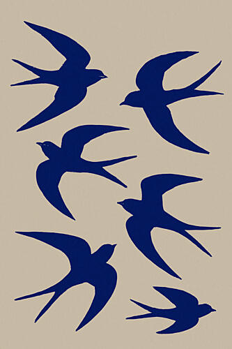 Blue Swallow Flight Art Print