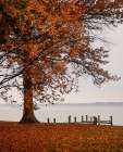 Autumn in Saint Michaels Art Print