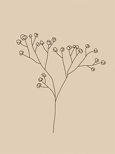 Delicate Line Blossoms Art Print