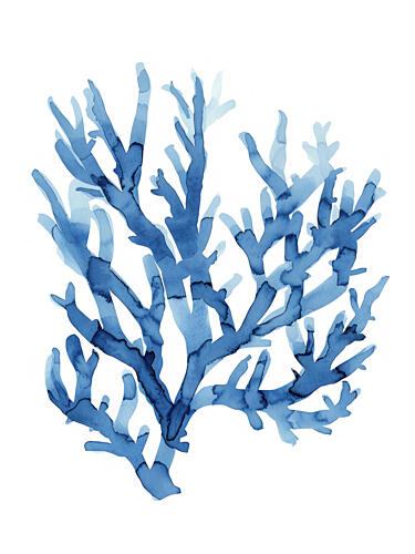 Indigo Reef Harmony Art Print
