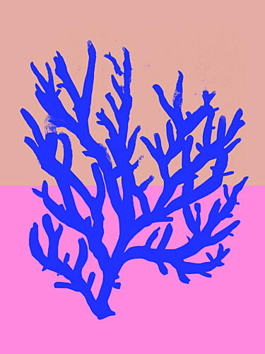 Coral Vibrance Art Print