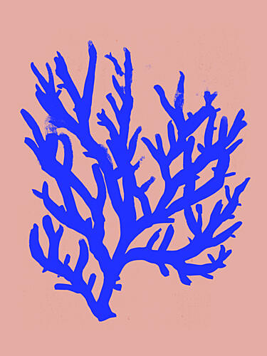 Coral Silhouette Art Print
