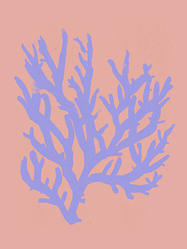 Coral Silhouette Art Print