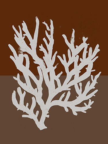 White Coral Silhouette Art Print