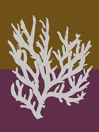 Coral Silhouette Art Print