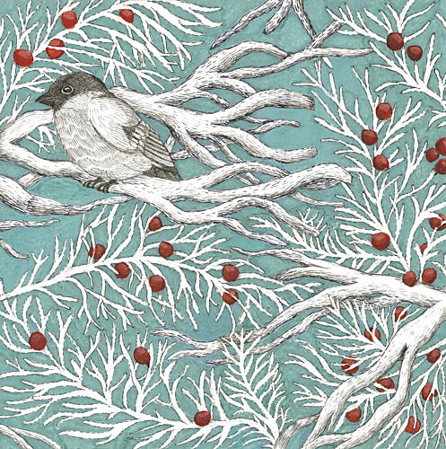 Winter Bird and Berries Animaux reproduction