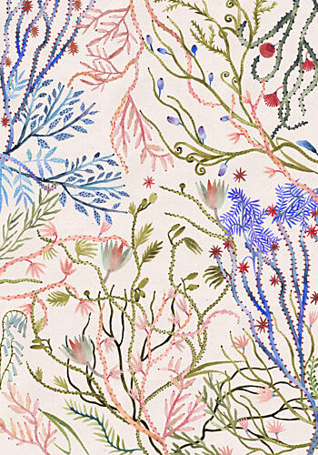Watercolor Coral Garden Bord de mer reproduction