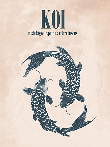 Koi Harmony Art Print