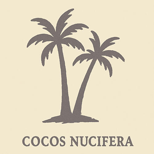 Cocosnuciferalight Art Print