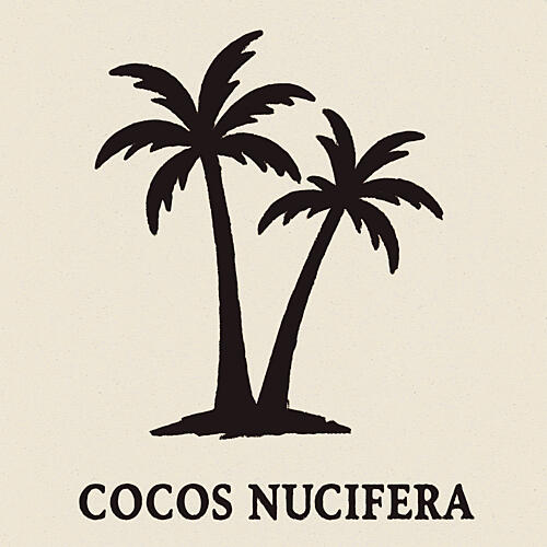 Cocosnucifera Art Print