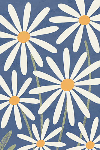 Daisy Delight Art Print