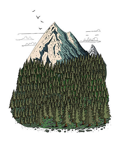 Mountain Forest Peaks Art Print