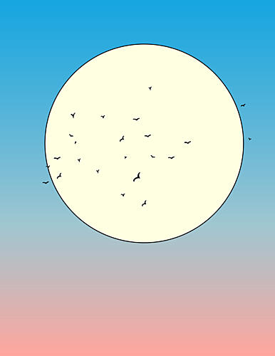 Golden Hour Birds Art Print