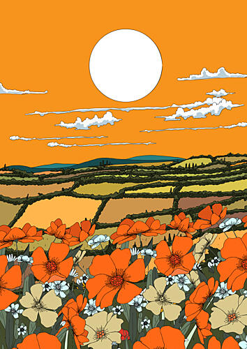 Sunset Flower Field Art Print