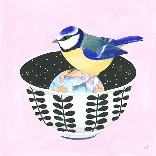 Blue Tit and Bowl Art Print