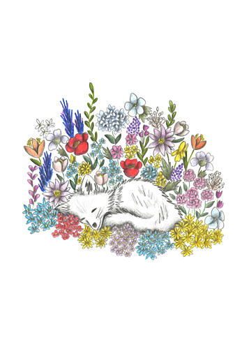 Peaceful Floral Fox Art Print