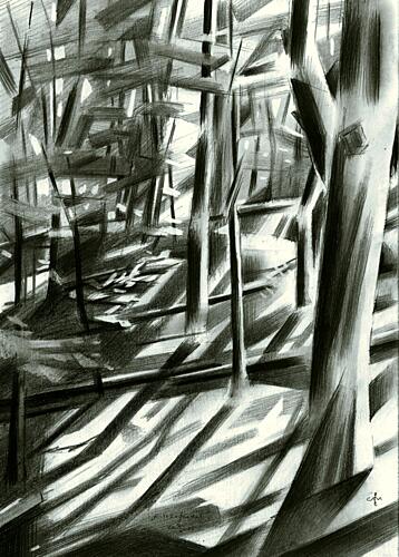 Abstract Forest Shadows Art Print