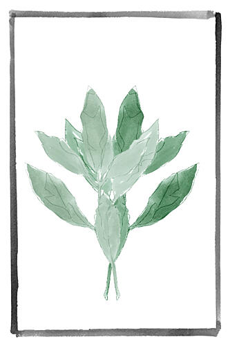 Soft Green Botanical Art Print