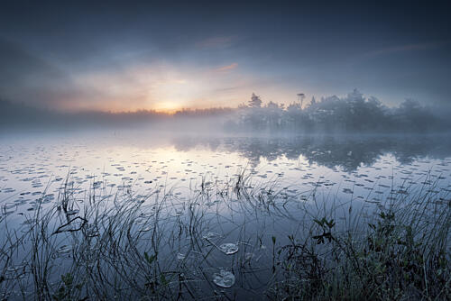 Misty Morning Lake Art Print