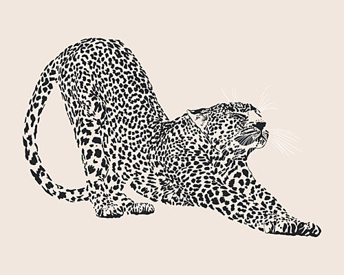 Elegant Leopard Stretch Art Print