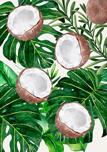 Tropical Coconuts and Leaves Art Print
